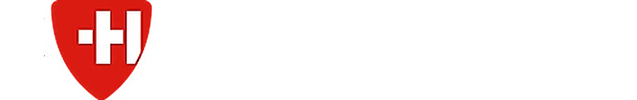 CHonfidence Holding AG